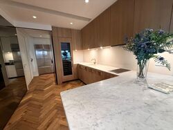 The Ritz-Carlton  (D9), Condominium #581409891